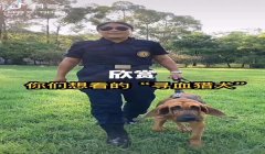 三角洲手机版怎么弄 寻血猎犬(三角洲手机版寻血猎犬怎么弄到?)