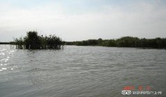 三角洲虚拟准星软件(给我三角洲虚拟准星软件下载链接)