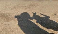 三角洲哪个枪不能侧瞄(三角洲不能侧瞄的枪有哪些?)