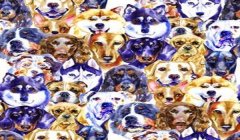 三角洲新赛季寻血猎犬(新赛季寻血猎犬的具体价格)