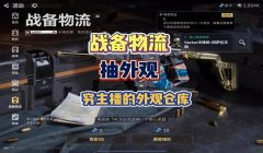 三角洲账号仓库东西没有了(三角洲账号仓库东西消失能恢复吗?)