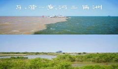 三角洲发卡最低价(告诉我三角洲发卡的最低价格)