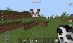 三角洲物资室铁门bug(有没有新的三角洲物资室铁门bug)